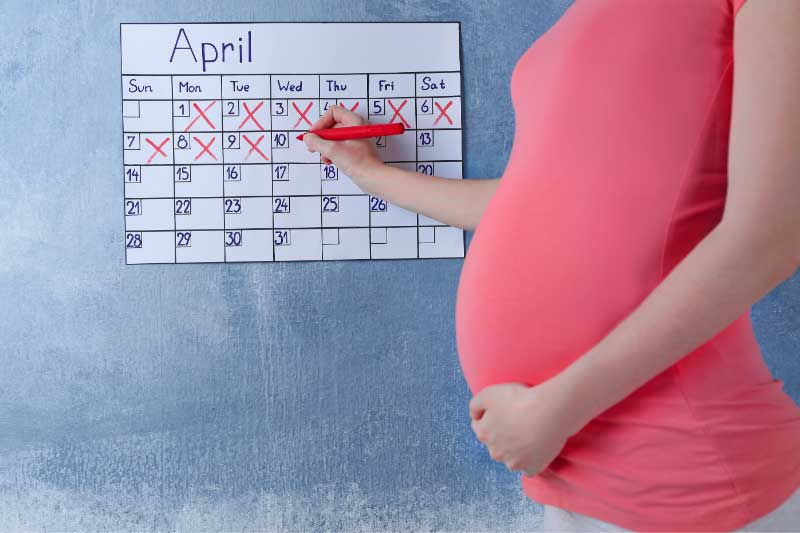 kalendar trudnoće po mesecima
