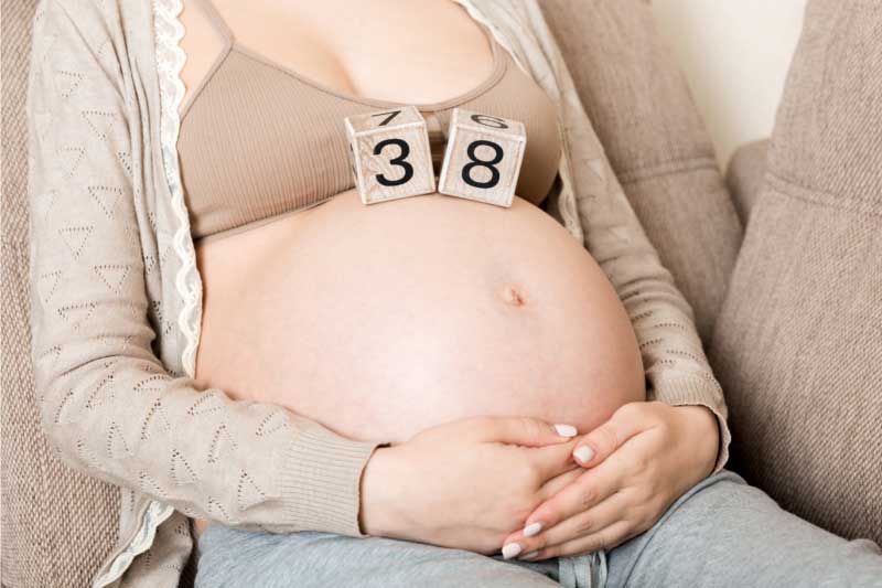 trudnoća od devet meseci