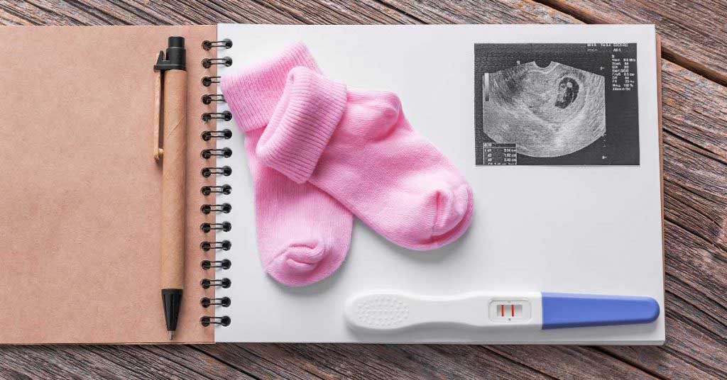 dnevnik za trudnice