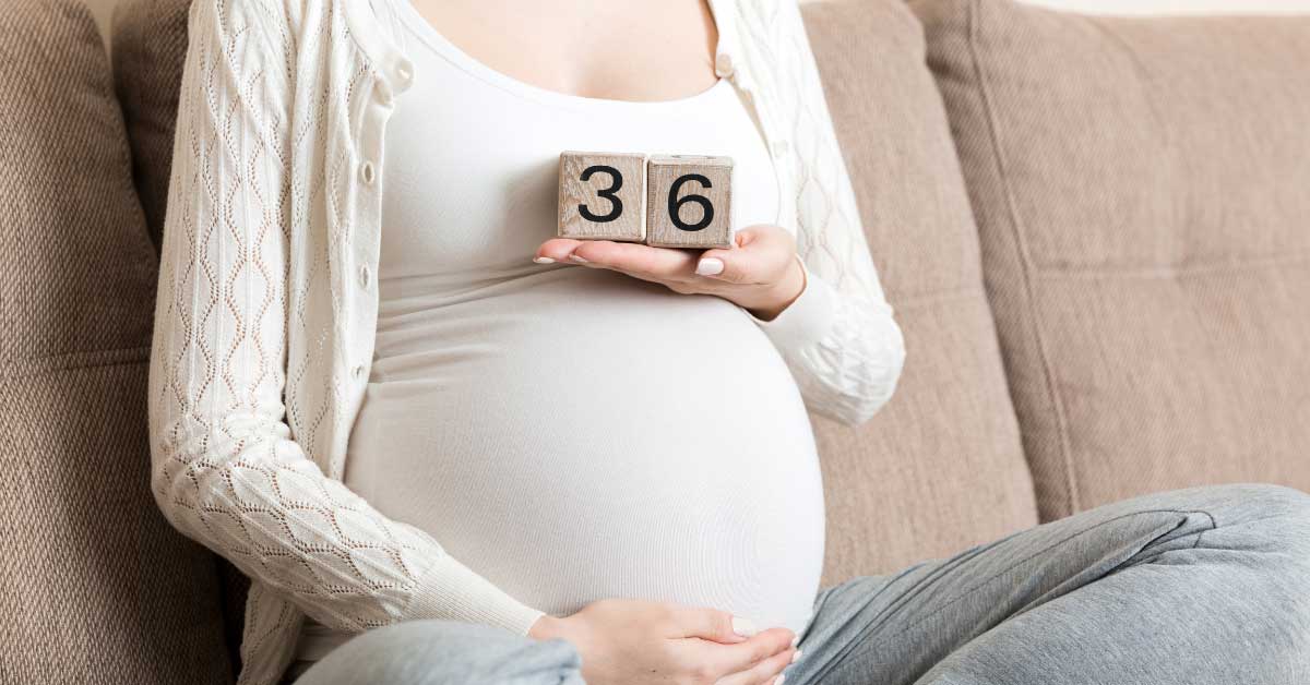 36 nedelja trudnoće