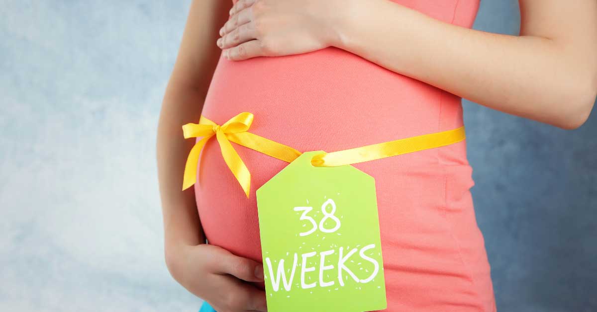 38 nedelja trudnoće