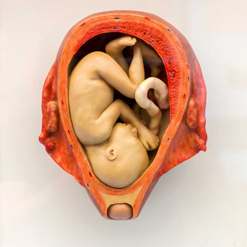 položaj bebe u stomaku pred porođaj