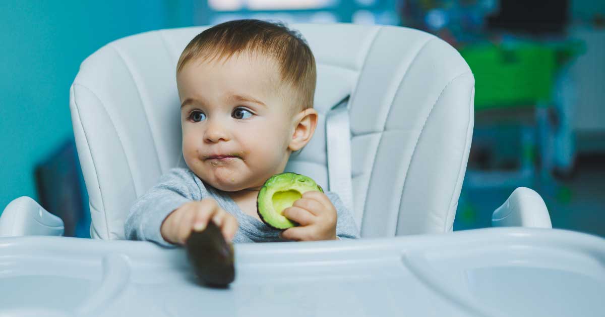 avokado za bebe